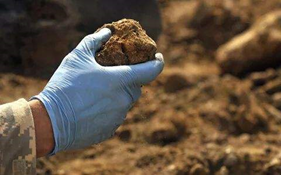 1629436243116663.png image.png